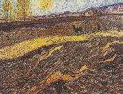 Vincent Van Gogh Field with plowing farmers china oil painting artist